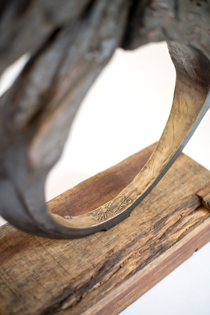 Tyrel Johnson, Horse of Another Color