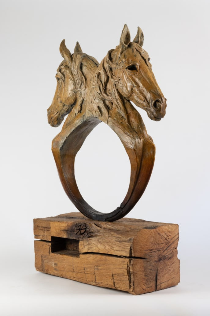 Tyrel Johnson, Horse of Another Color