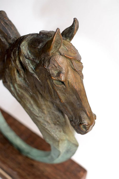 Tyrel Johnson, Horse of Another Color