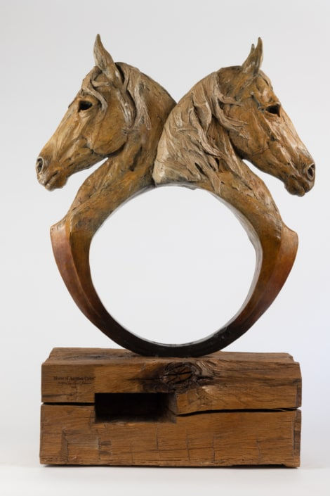 Tyrel Johnson, Horse of Another Color