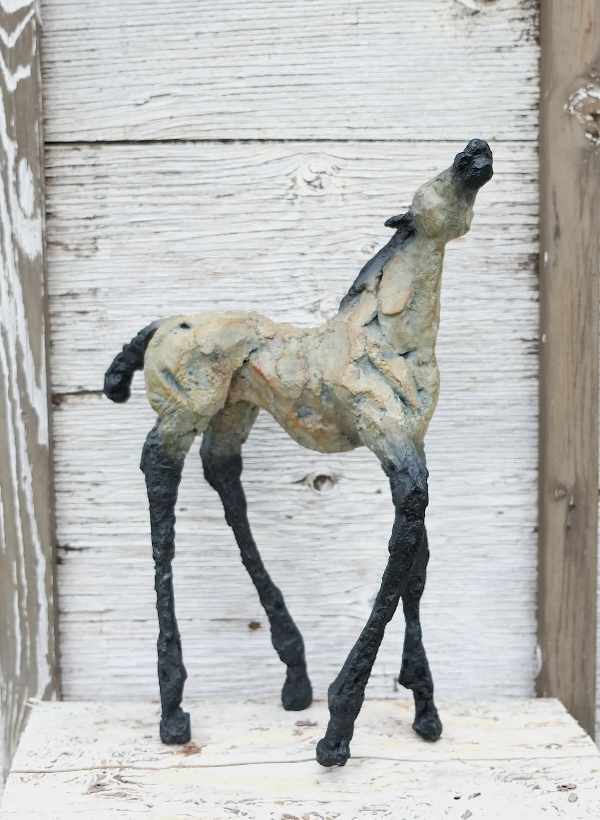 Siri Hollander, Loco