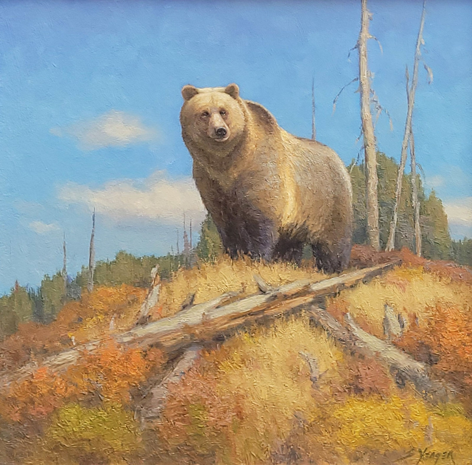 Scott Yeager, King of the Hill