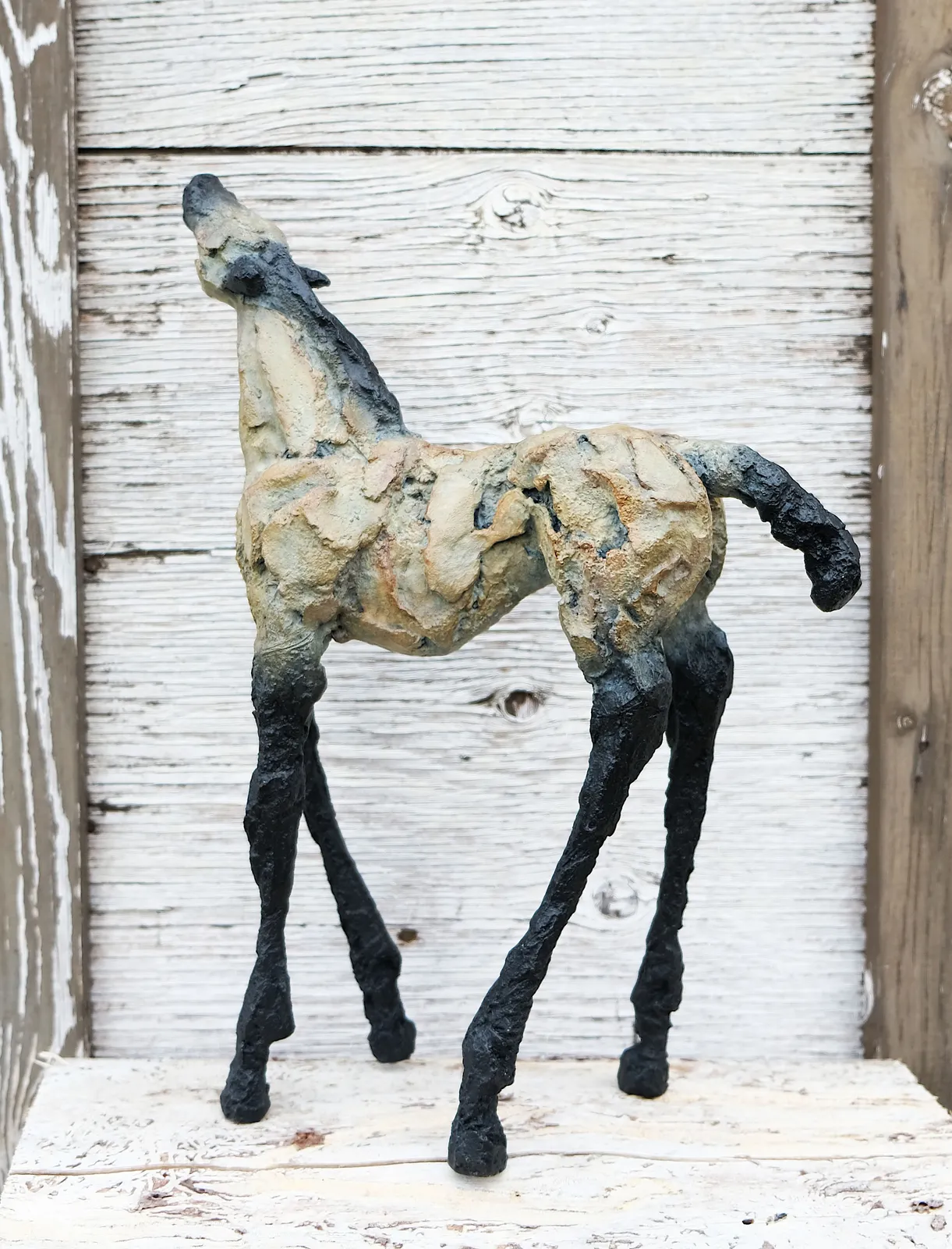 Siri Hollander, Loco