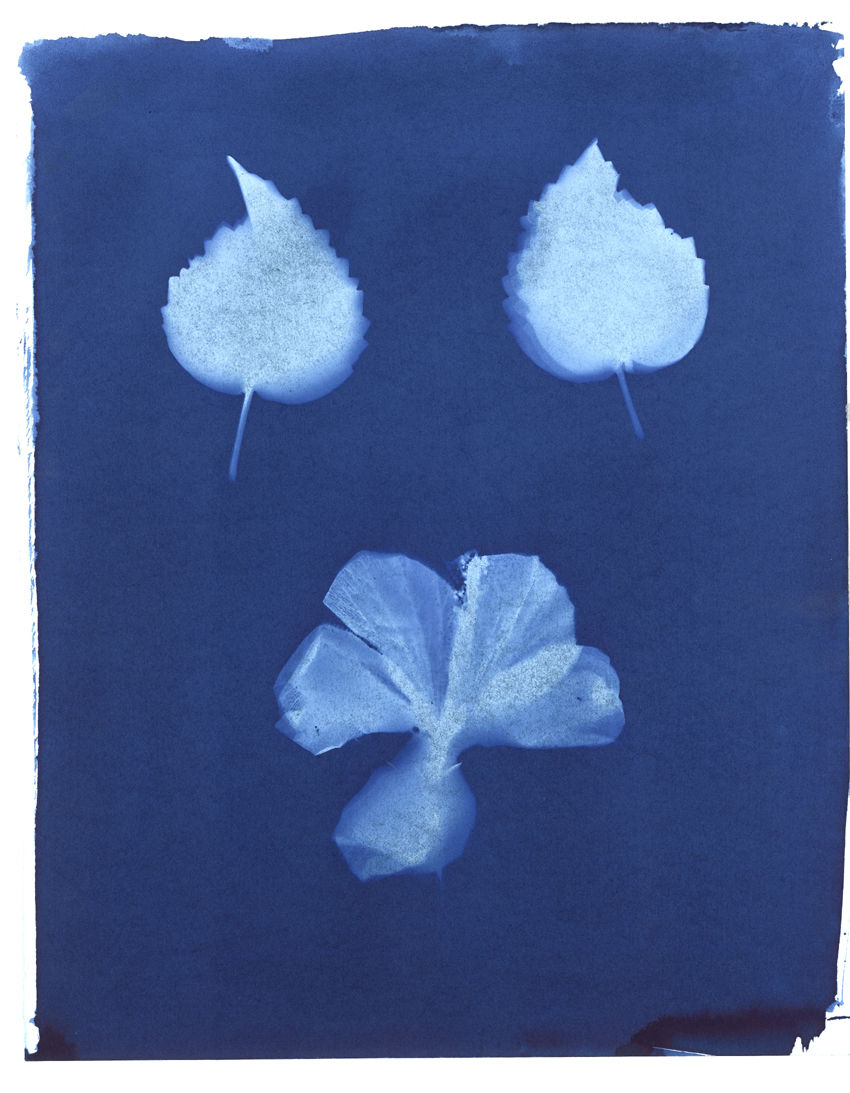 Nigel Scott, Hachijo Jima, Japan #2, 2005