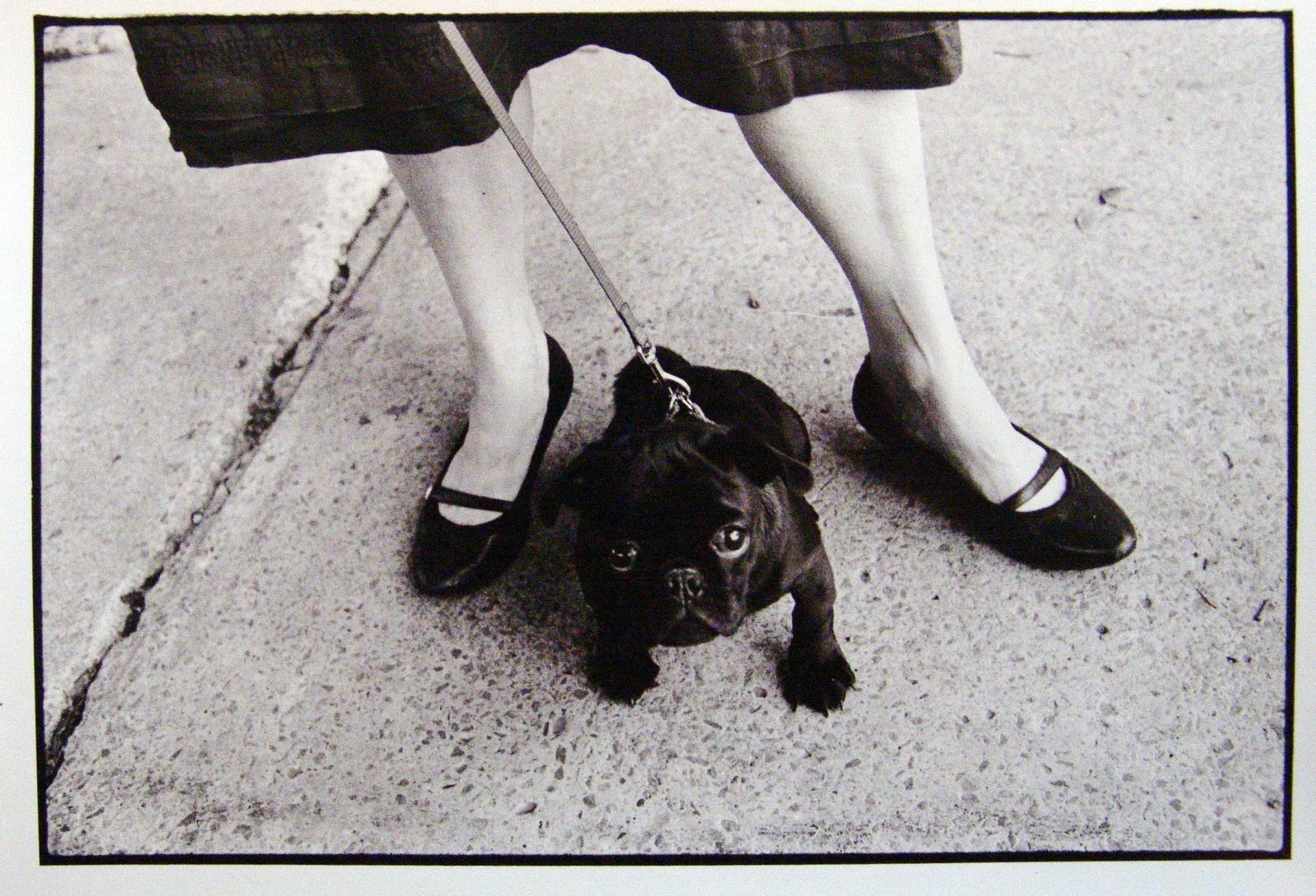 Burt Covit, Tojie, Montreal, 2006