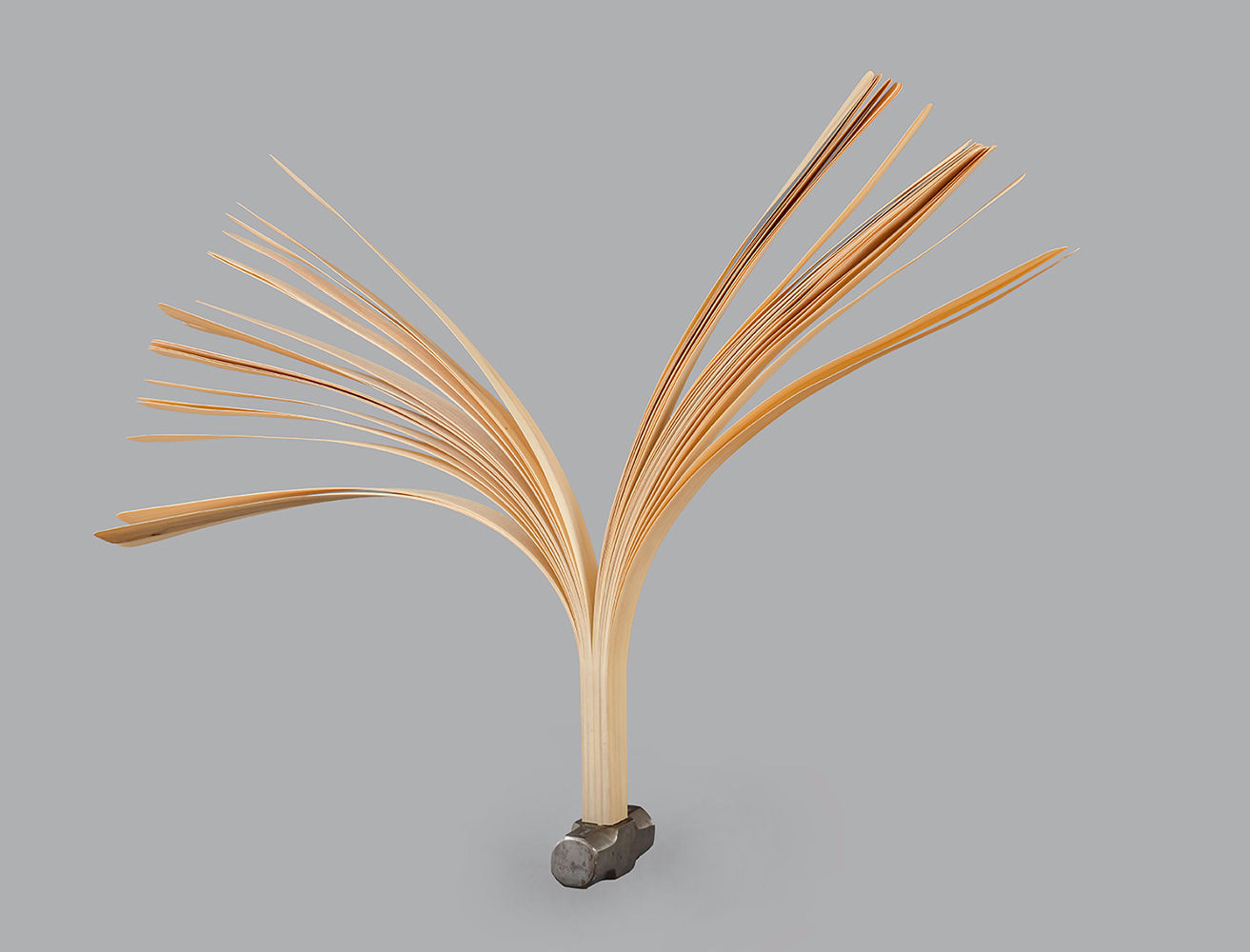 Colectivo MANGLE, Porra 4 libras, 2015