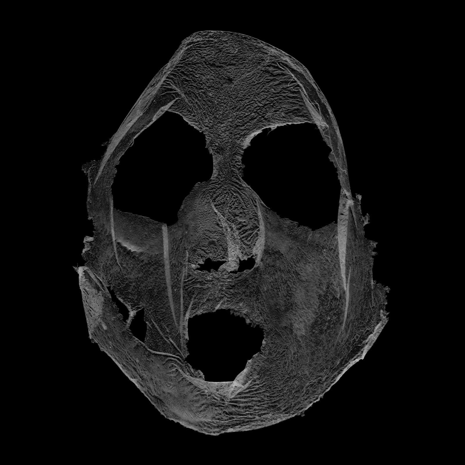 Barbara Astman, Face 1, series: i as artifact, 2008-2014