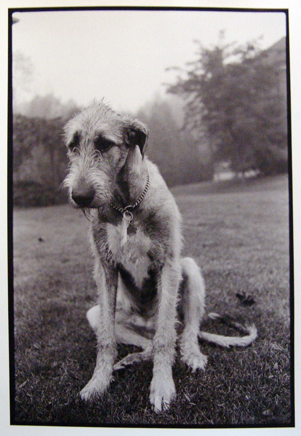 Burt Covit, Owen, Montreal, 1999