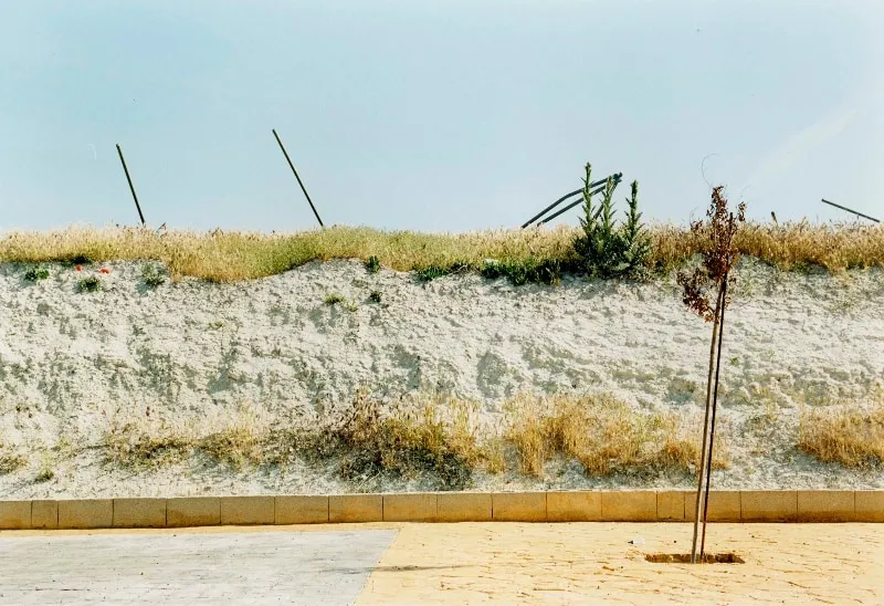 Grit Schwerdtfeger, Weg, 2004