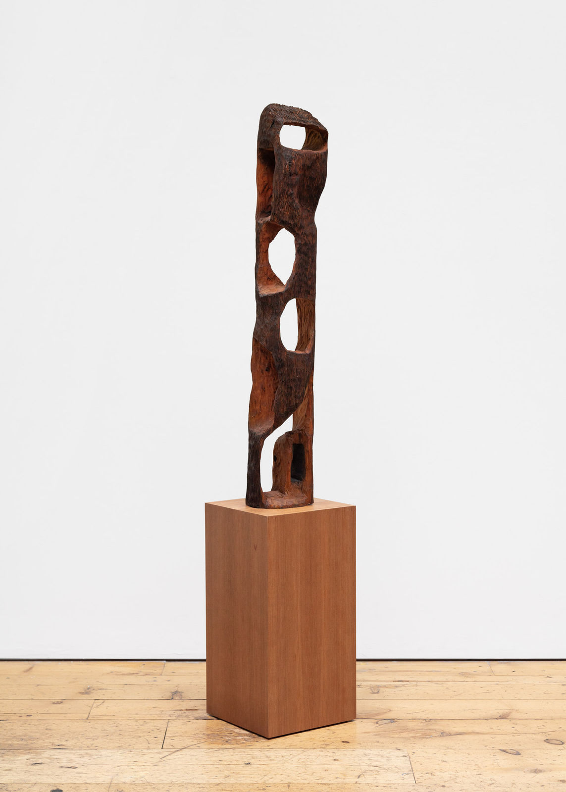 Peter Campbell, Hollowed Complex, 2025