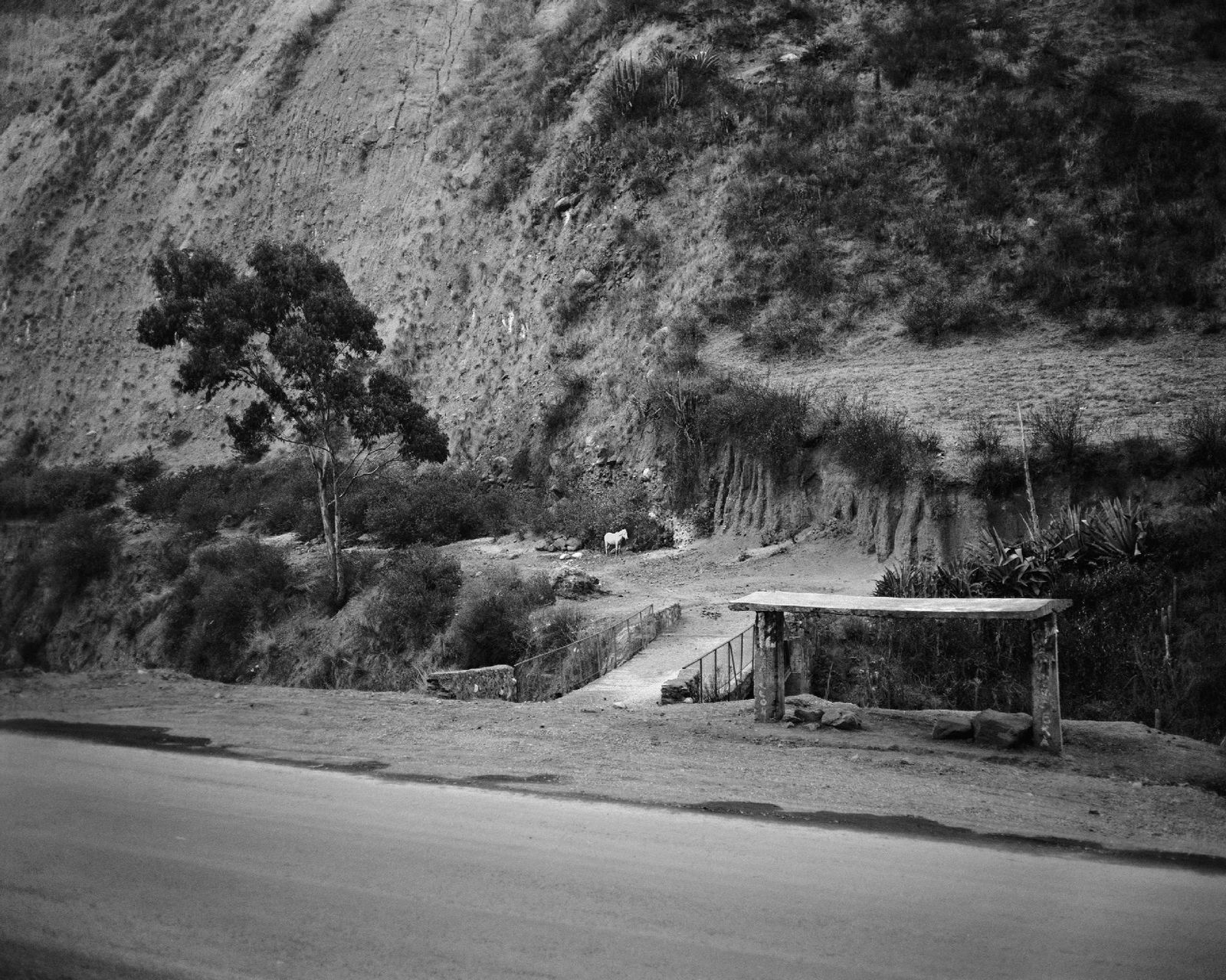 Andrés Marroquín Winkelmann, Parada, 2012/2014