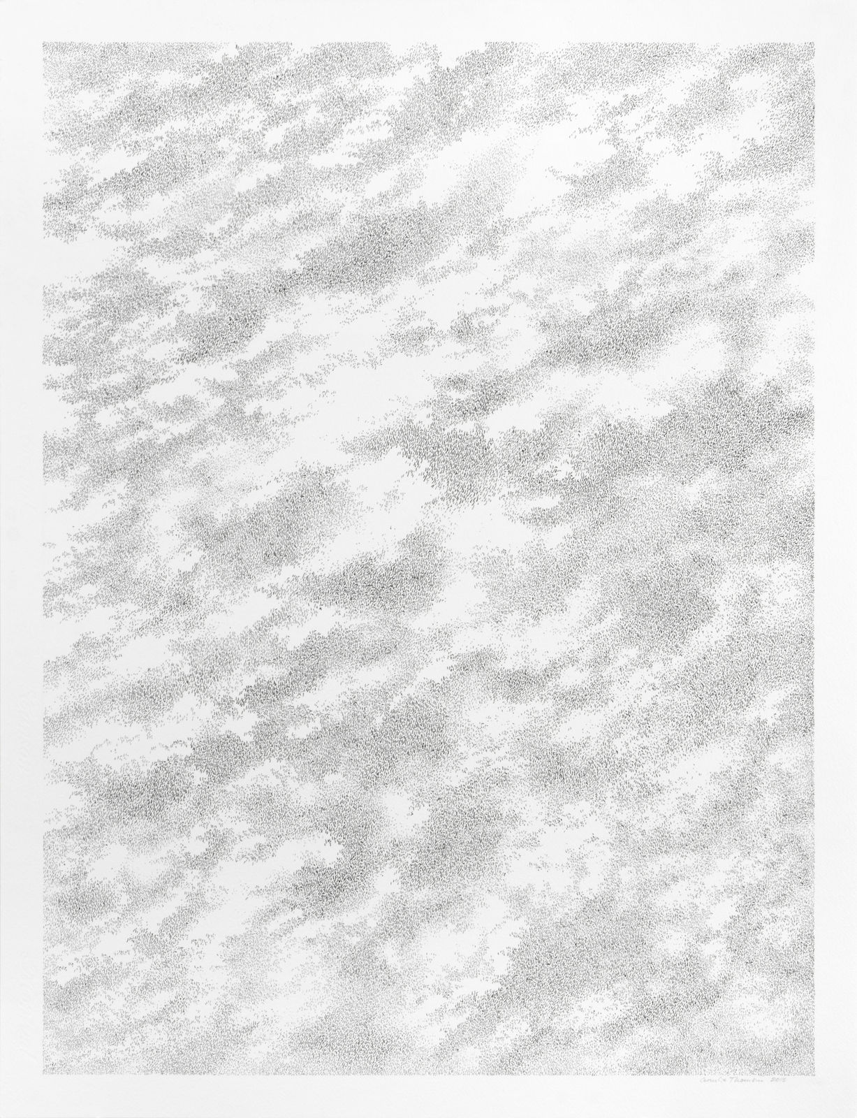 Cornelia Thomsen, Structures nr. 25, 2013