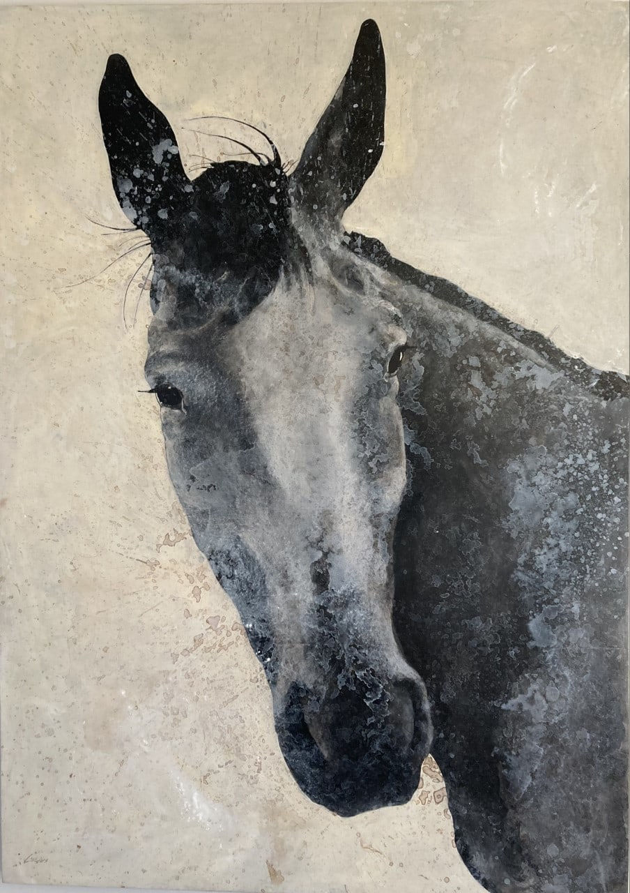 Lex Lucius, Poncho Close Up #5