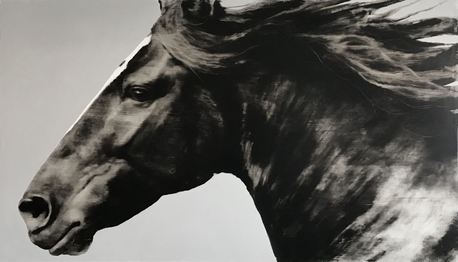 Kenneth Peloke, Free WIll