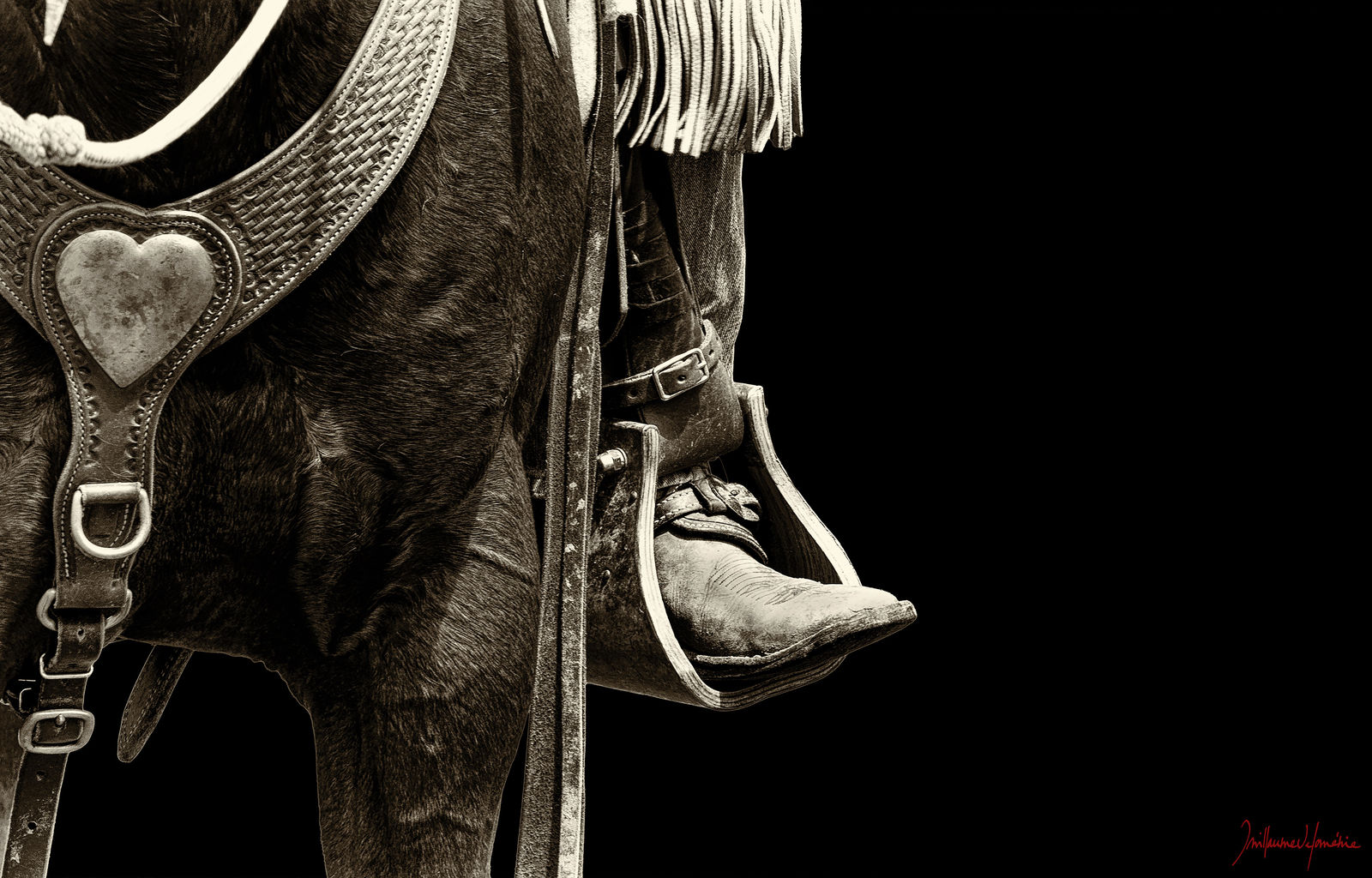 Guillaume Beau de Lomenie, Golden Heart