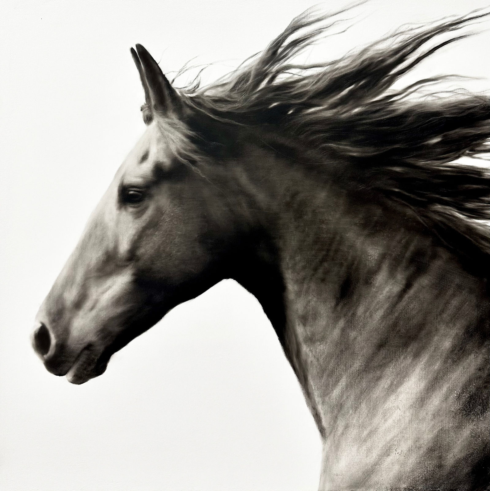 Kenneth Peloke, Born Free