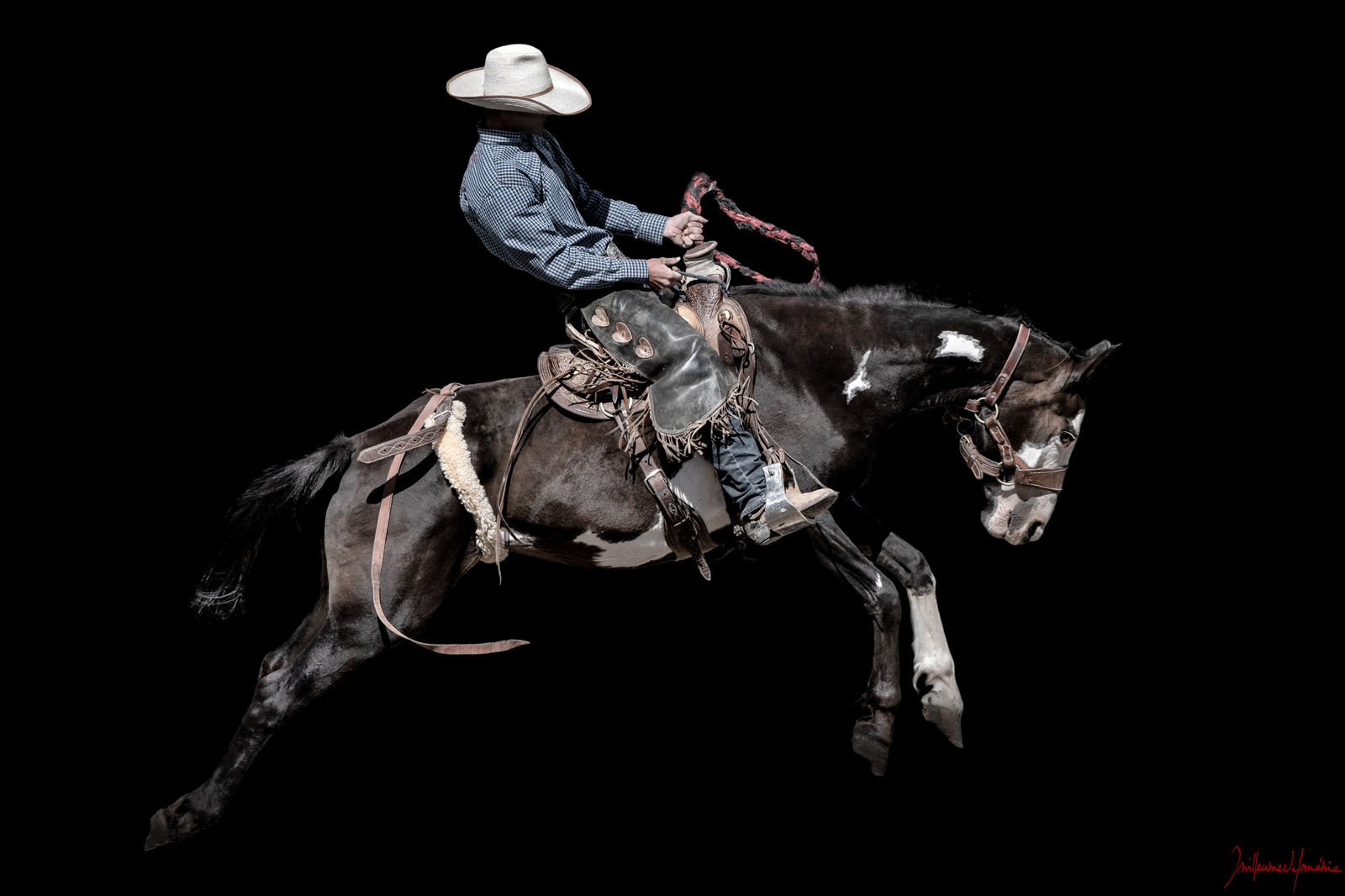 Guillaume Beau de Lomenie, Charlie