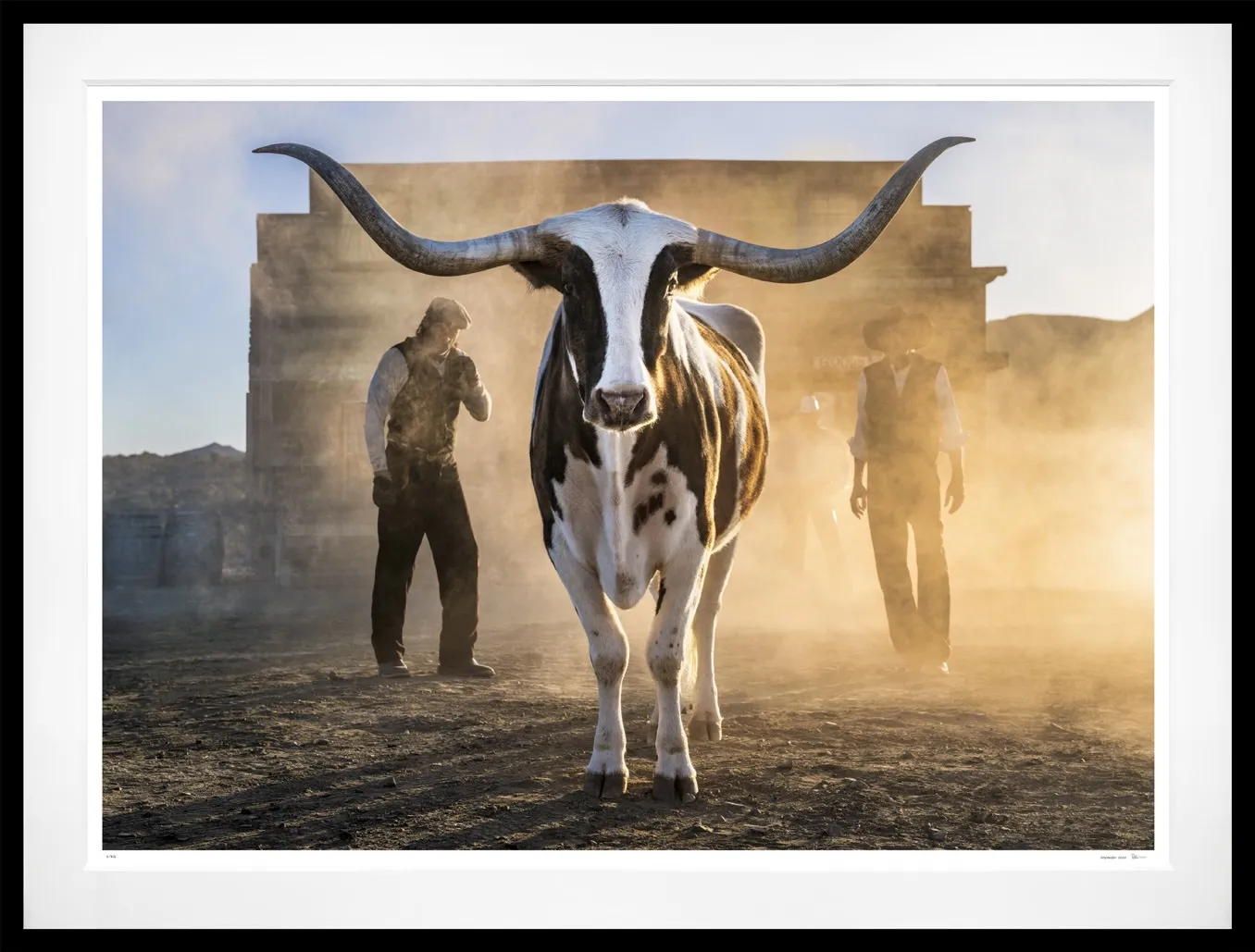 David Yarrow, Morning Has Broken