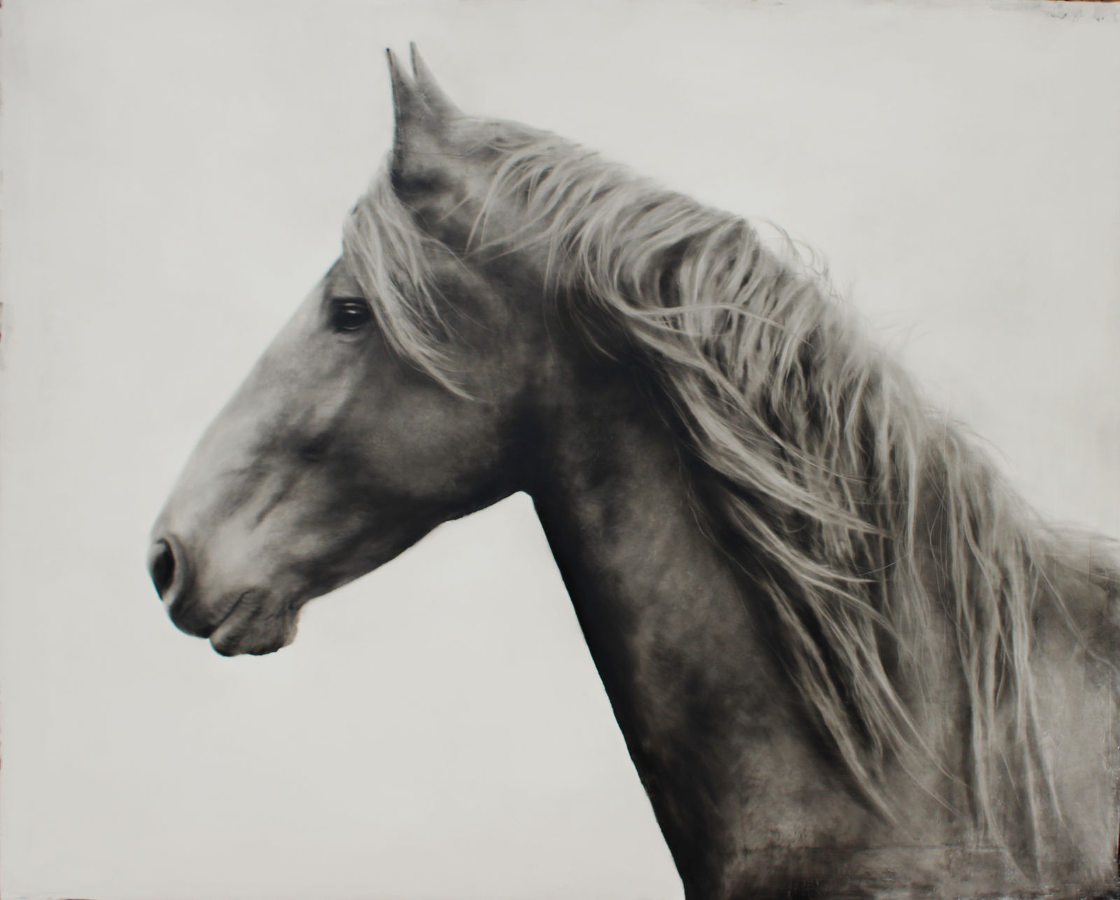 Kenneth Peloke, New Horizon