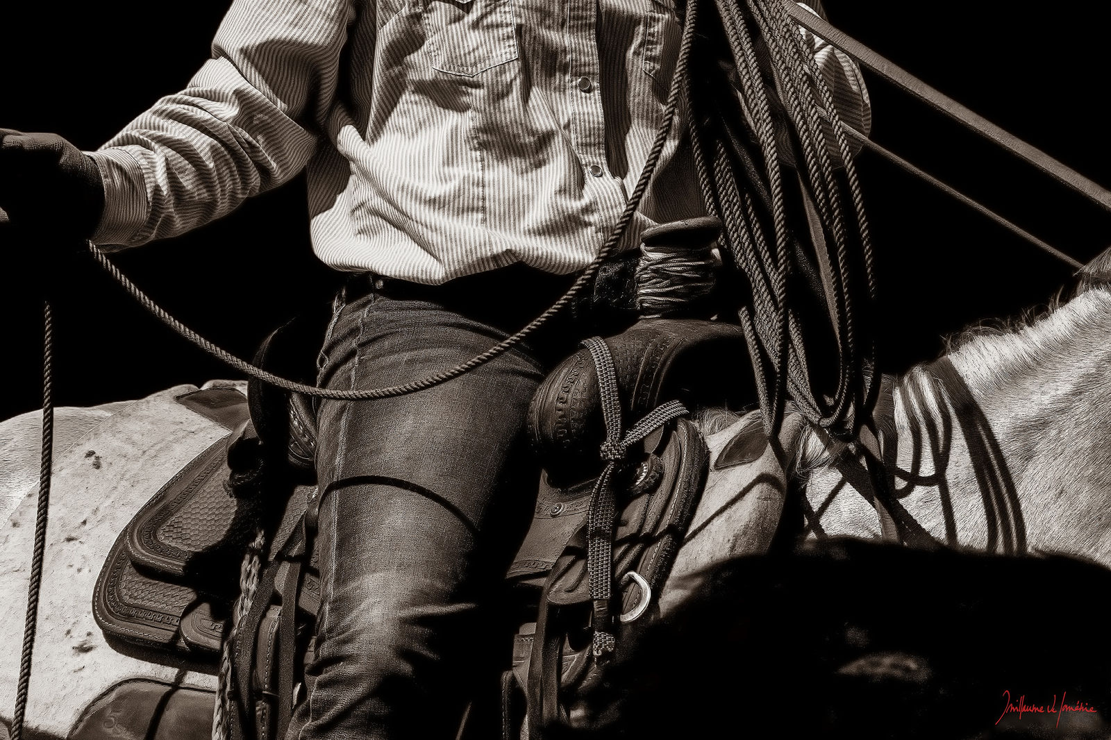 Guillaume Beau de Lomenie, Of Flesh and Leather