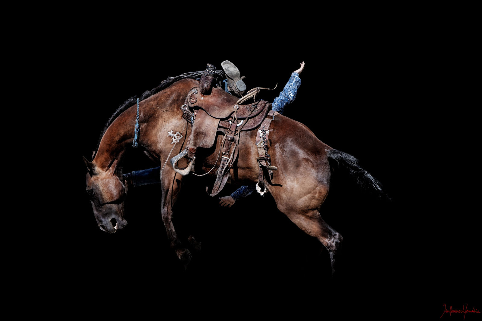 Guillaume Beau de Lomenie, Ben