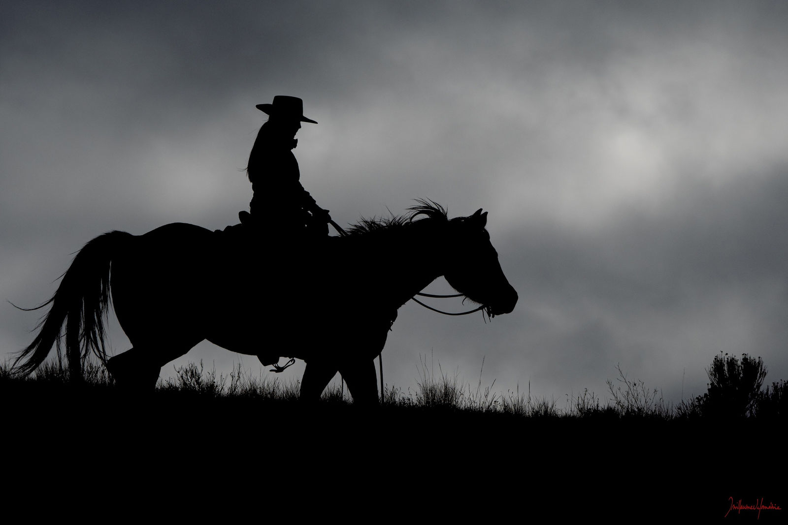 Guillaume Beau de Lomenie, Toward the Night