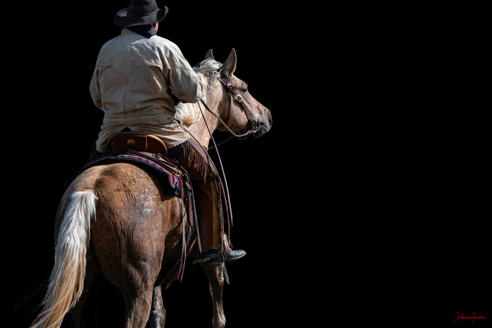 Guillaume Beau de Lomenie, Dave