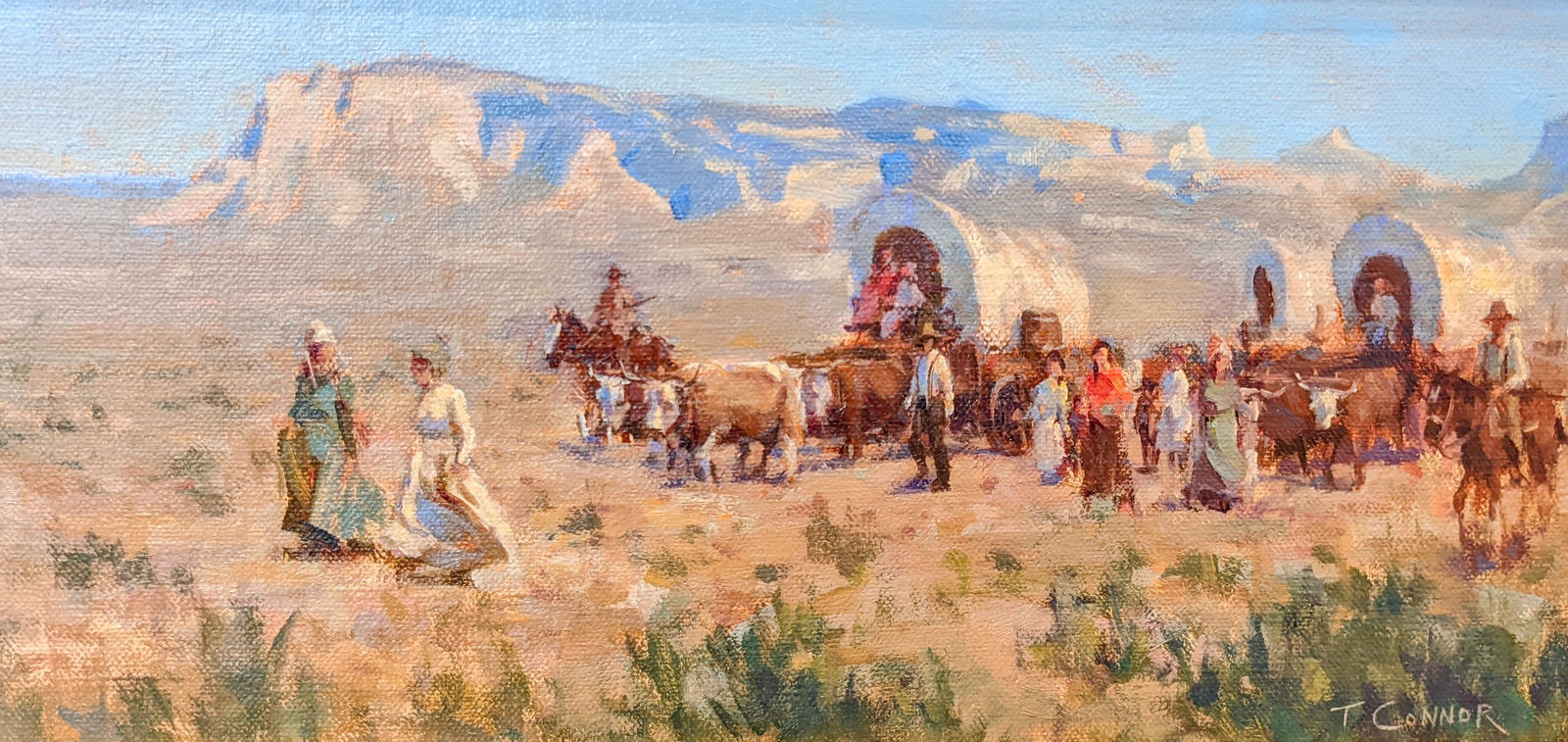 Todd Connor, Scotts Bluff Passage