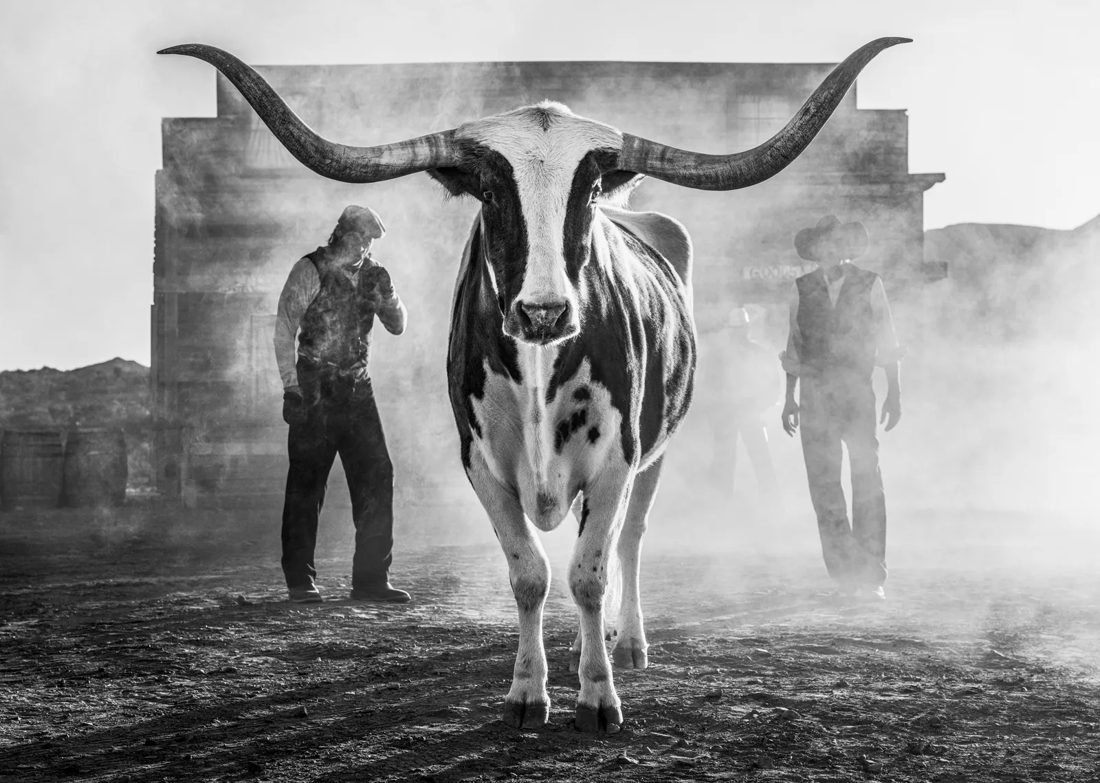 David Yarrow, Morning Has Broken