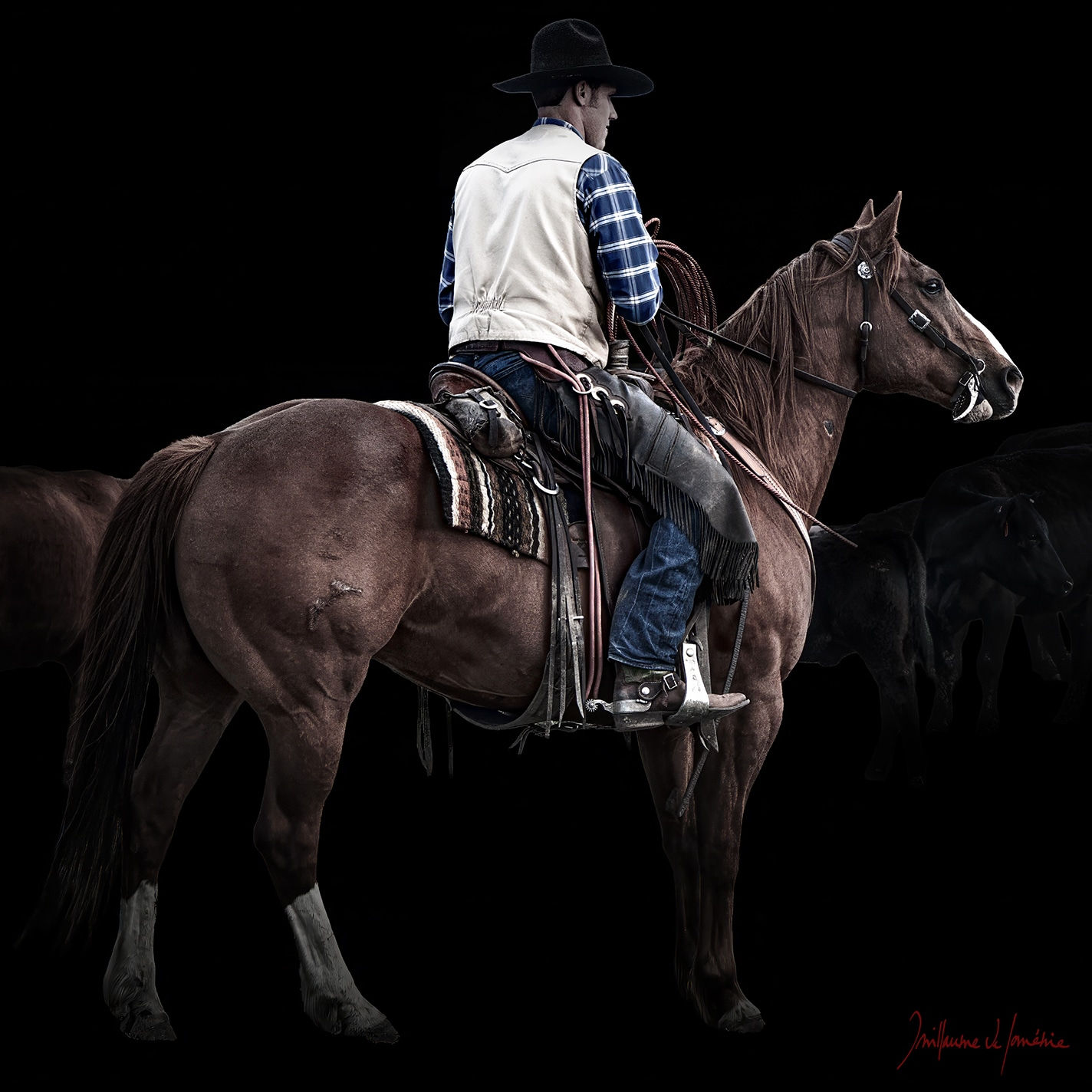 Guillaume Beau de Lomenie, Keep an Eye on It