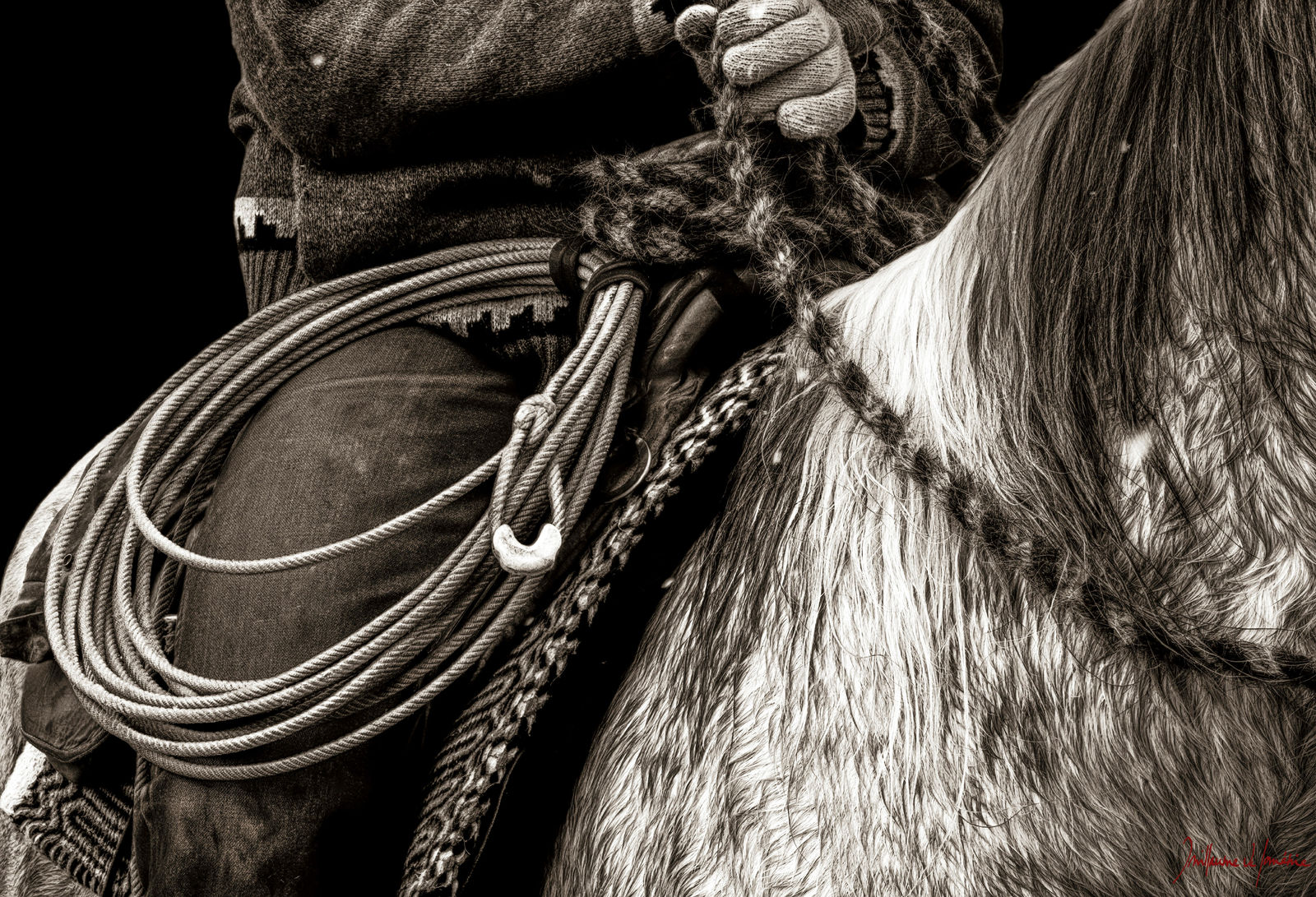 Guillaume Beau de Lomenie, Winter Coat