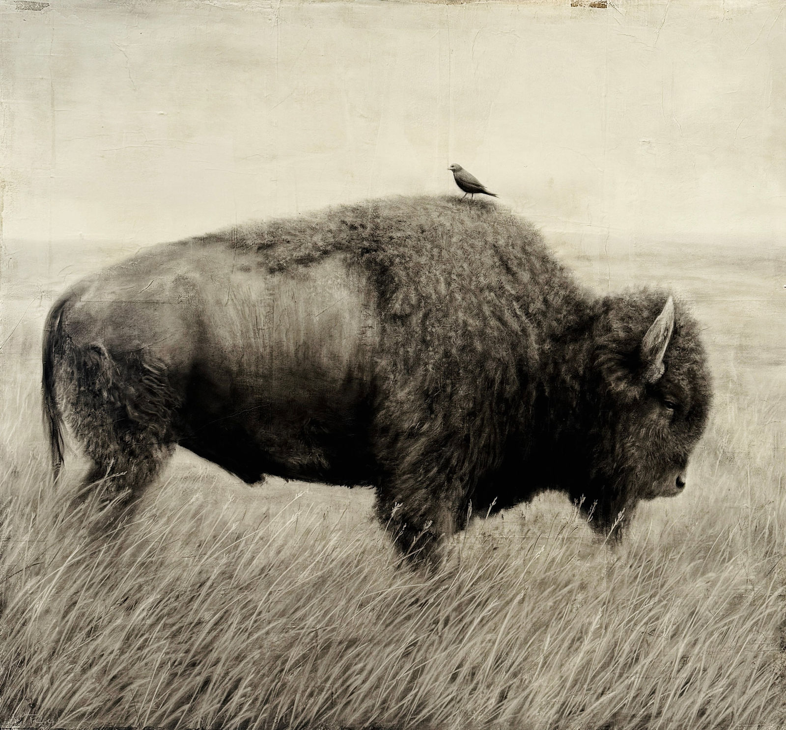 Kenneth Peloke, Sing Me A Song