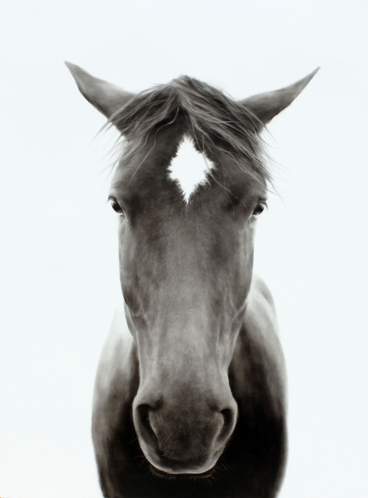 Kenneth Peloke, Free Soul