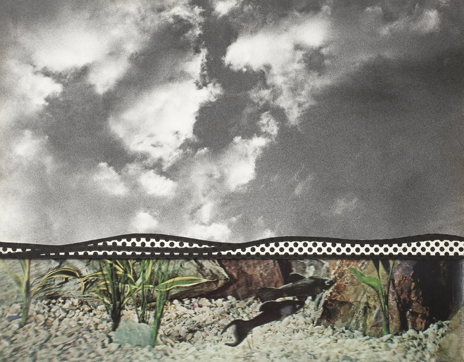 Roy Lichtenstein, Fish and Sky , 1967