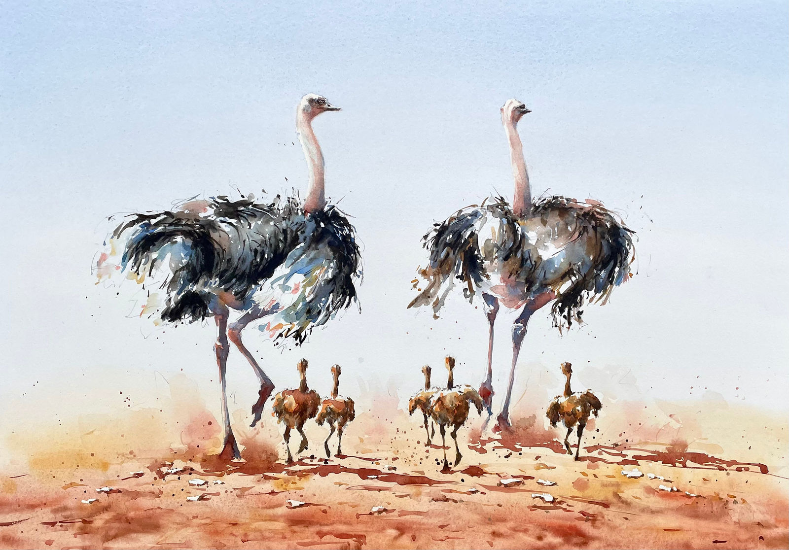 Julia Cassels, Ostrich Family