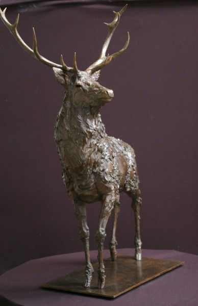 Adam Roud, Stag II