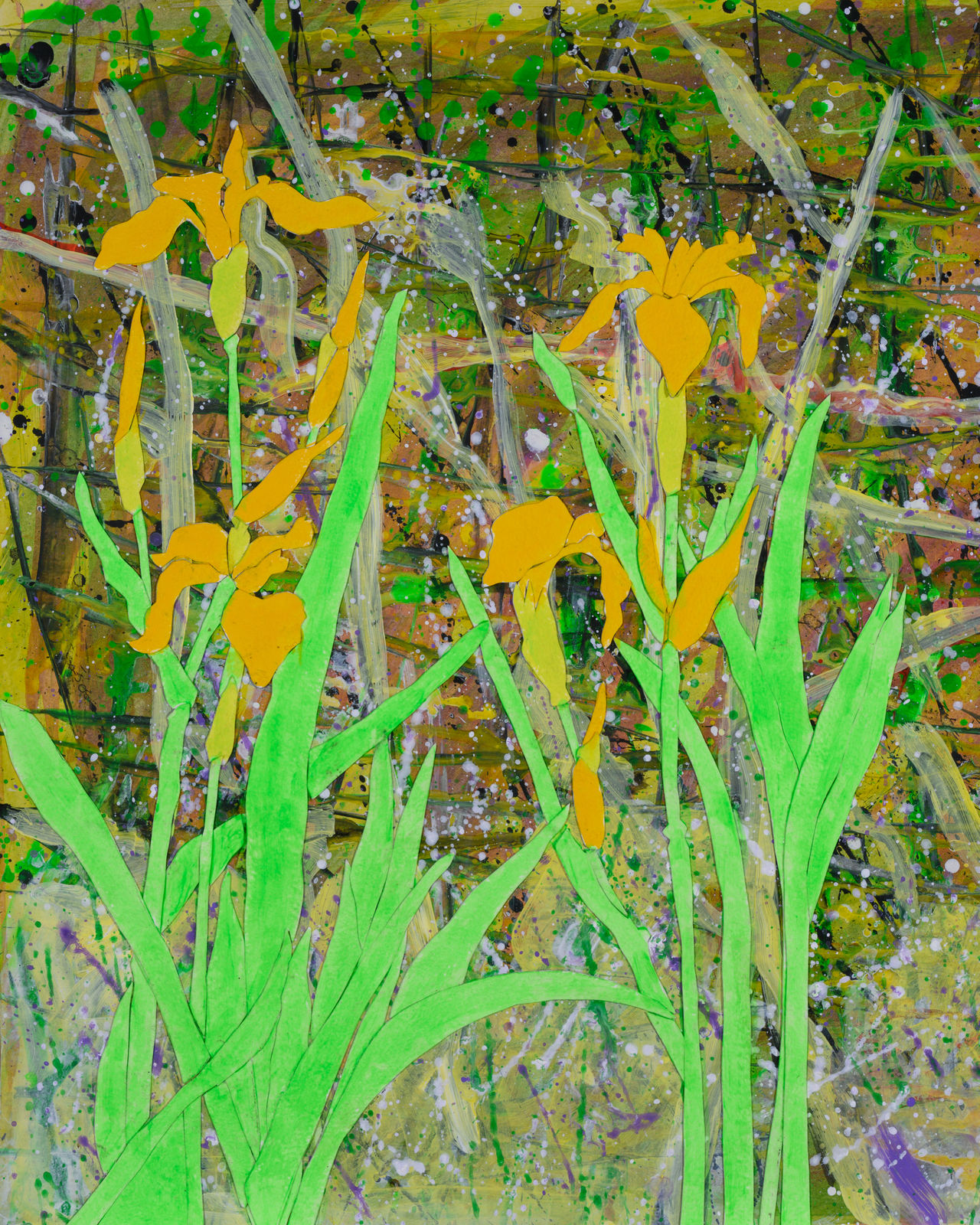 Dione Verulam, Flag Irises