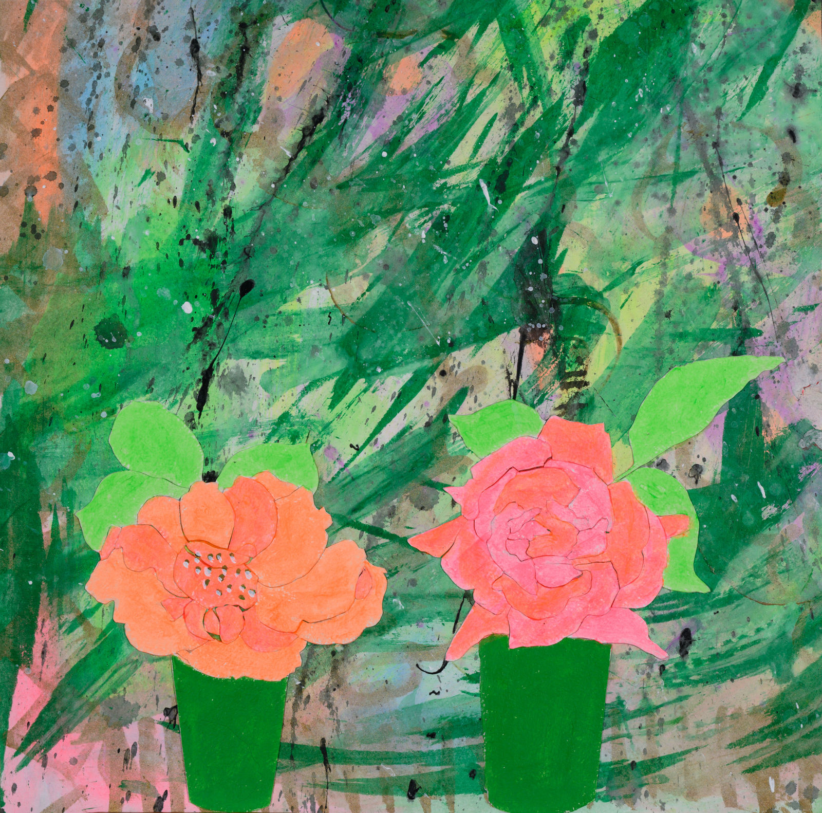 Dione Verulam, Roses