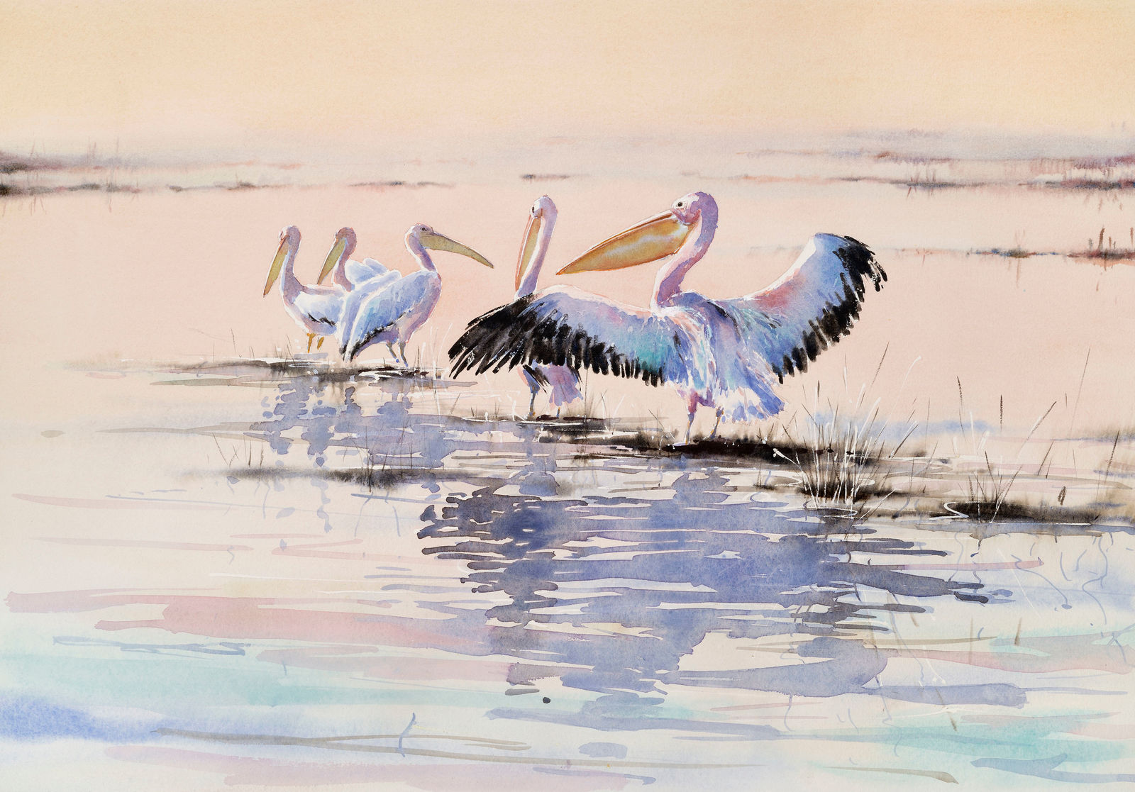 Julia Cassels, Pelicans at Dawn (London Gallery)
