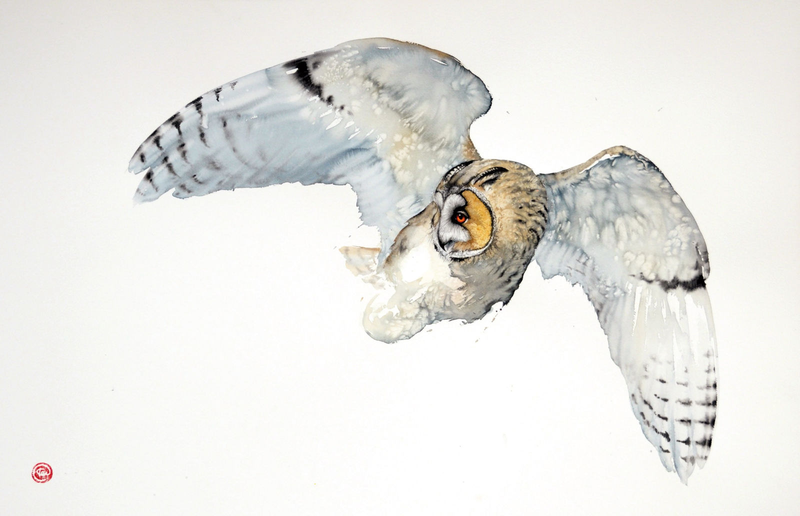 Karl Martens, Long Eared Owl Flying (Unframed)