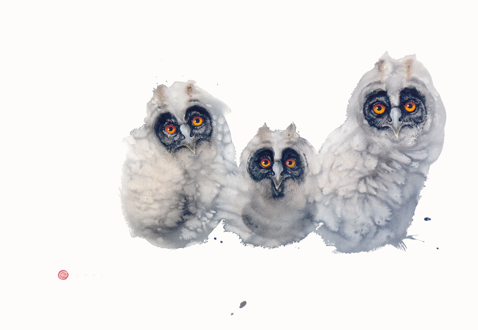 Karl Martens, Long-Eared Owl Chicks