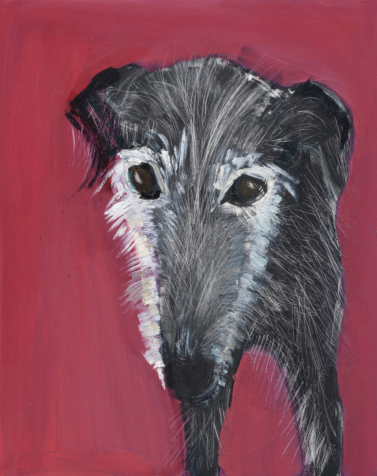 Sally Muir, Harry (Unframed)