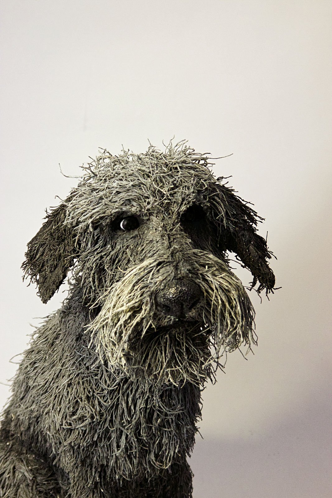 Gemma Rees, Harry (Hungerford Gallery)