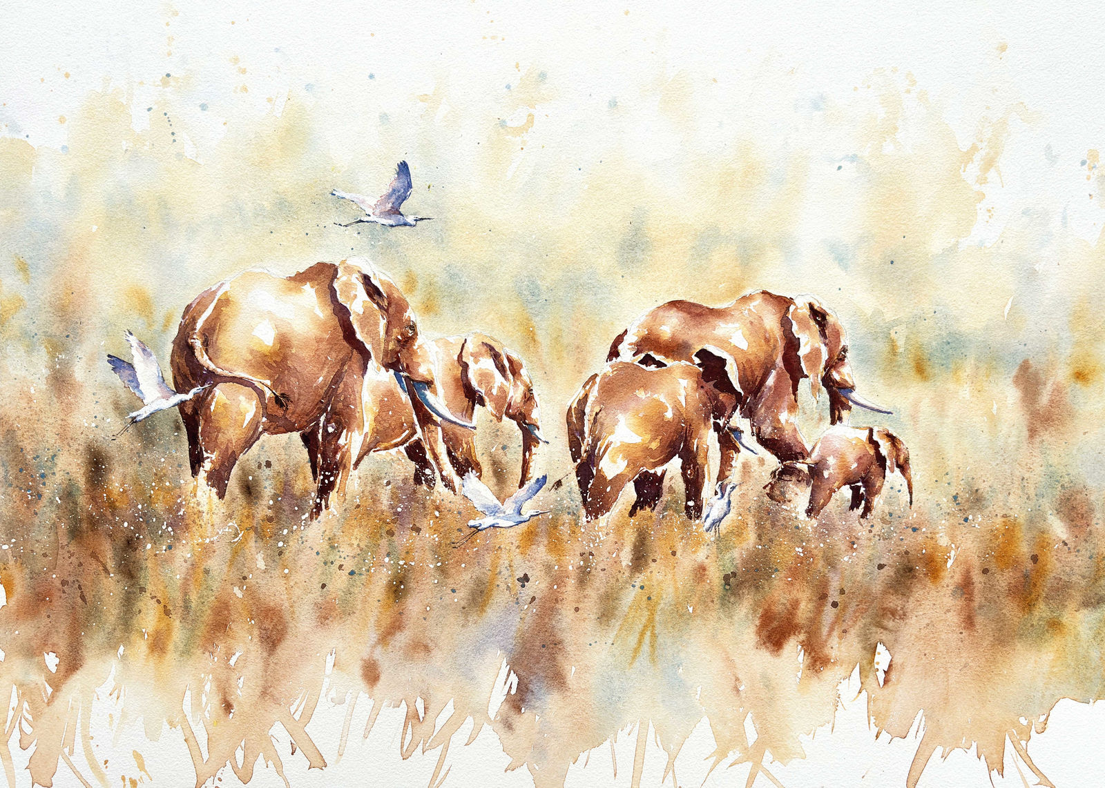Julia Cassels, Elephants and Egrets