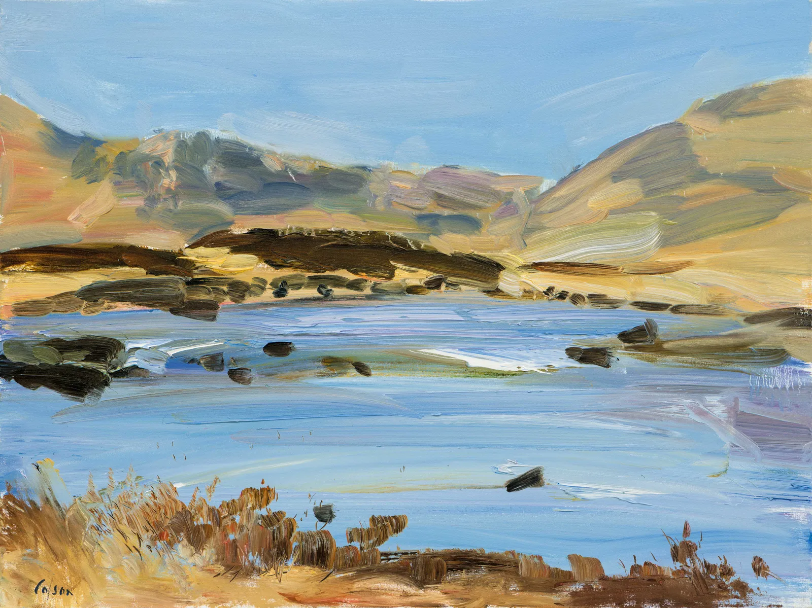 Richard Colson, Rannoch Moor VI