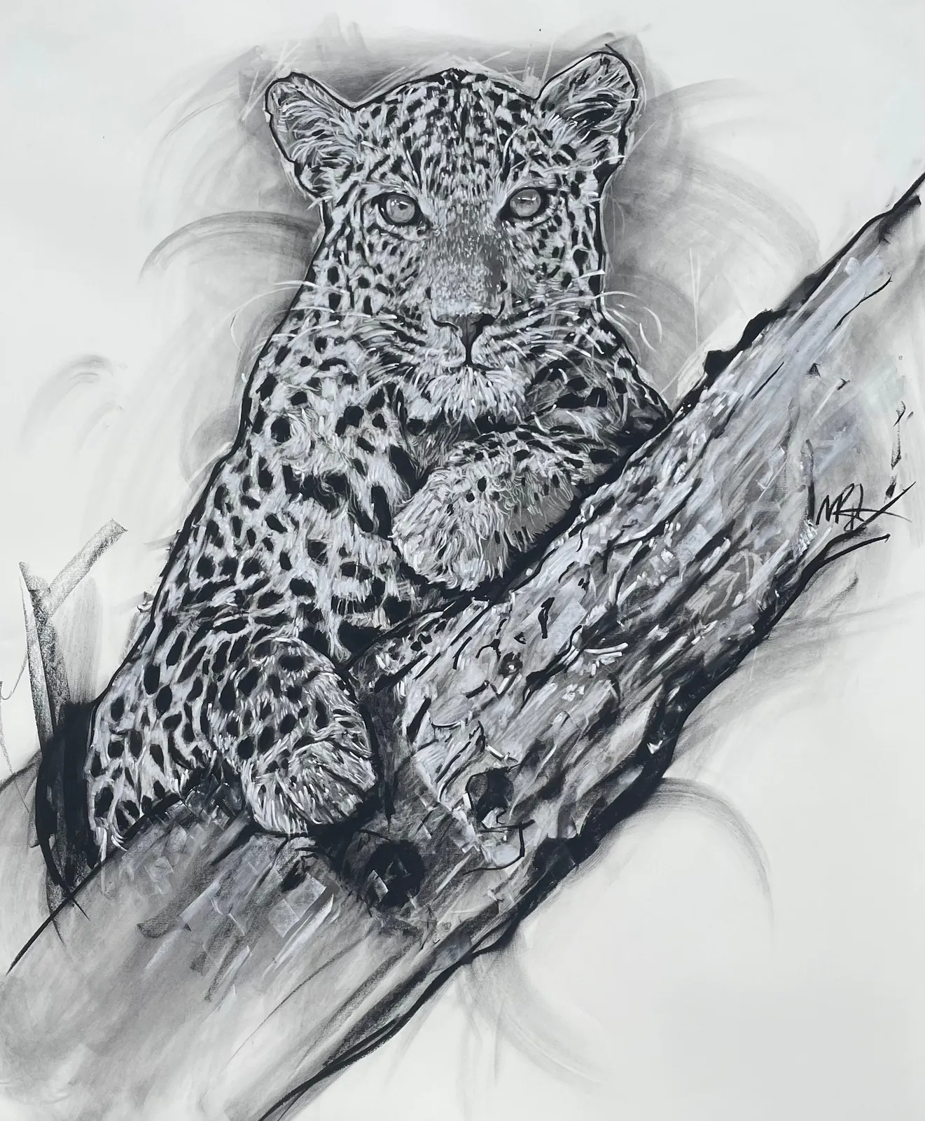 Merlin Bateman-Paris, Leopard III