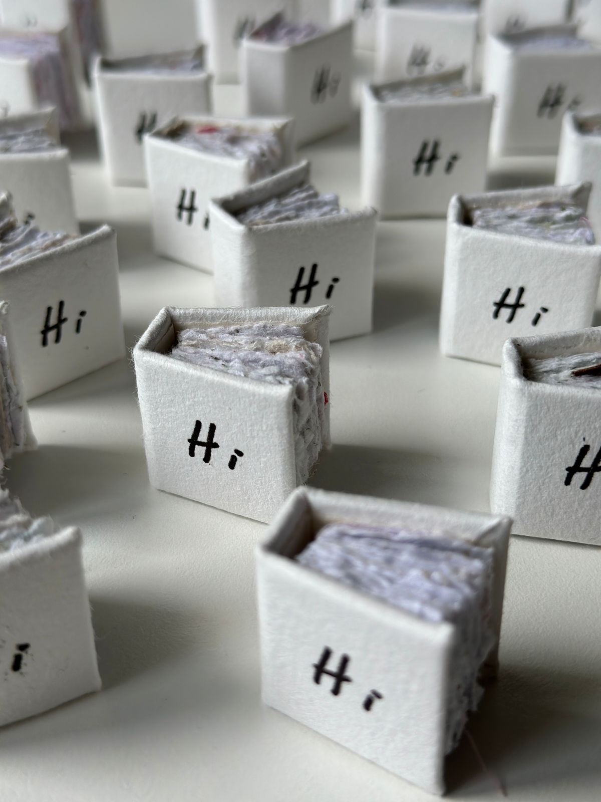 Agnes Lau, Book of Life, 2023