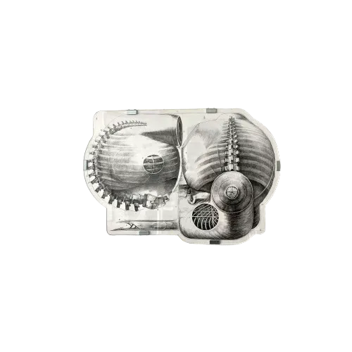 Silas Oo, If You Talk and I Talk Then Who Is Really Listening, 2023