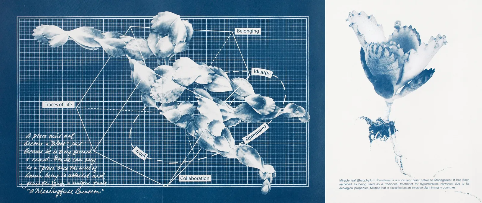 Phuan Thai Meng, Module #2 | Place Making (P06-07), 2023