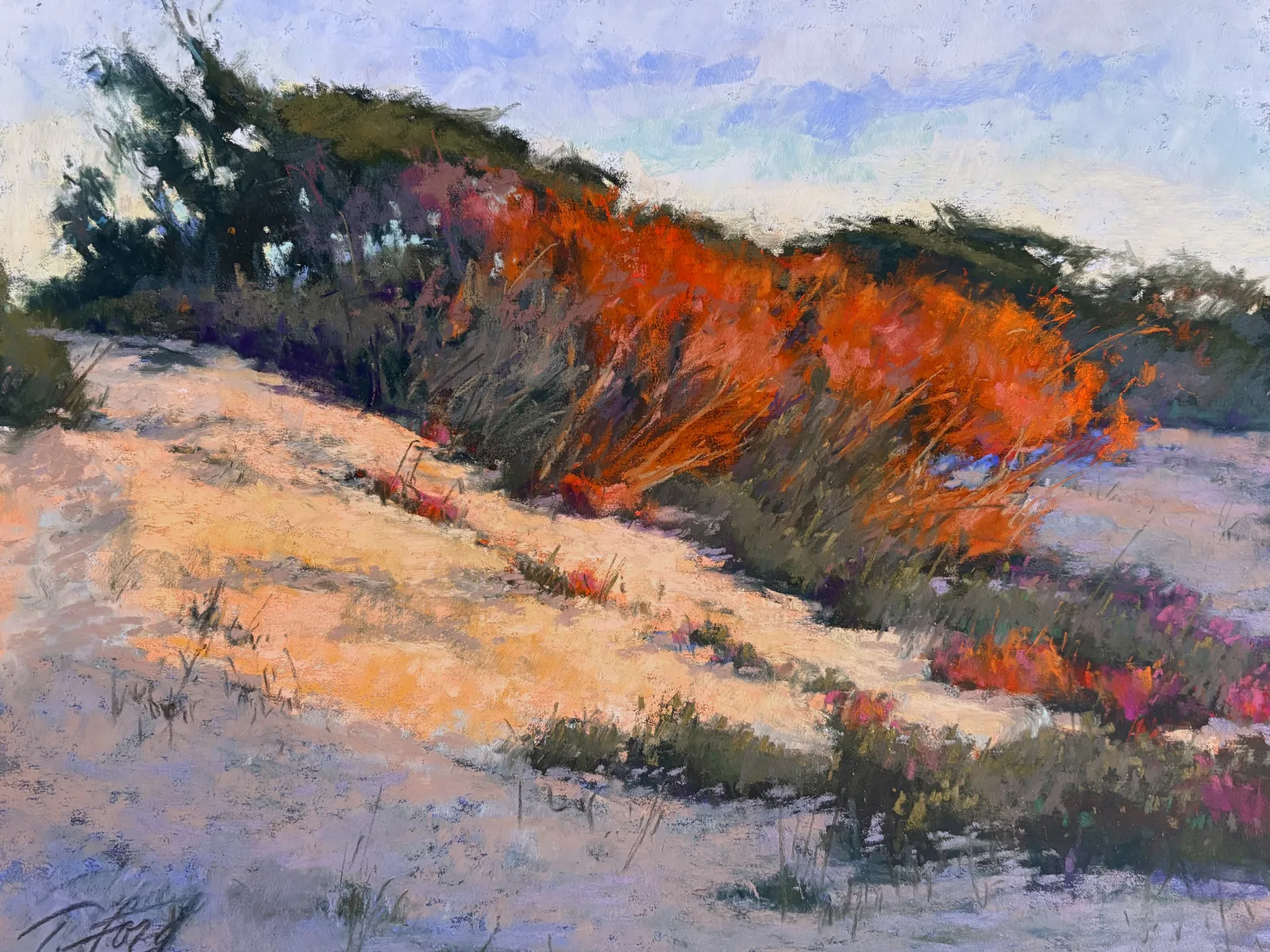 Terri Ford, Coastal Glow, 2021